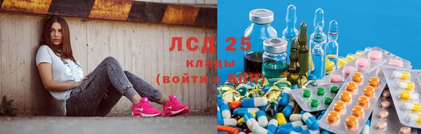 прущие крисы Володарск