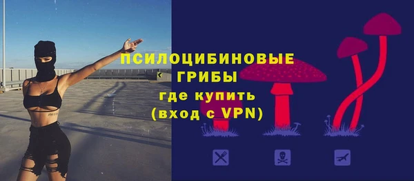 ECSTASY Верхний Тагил