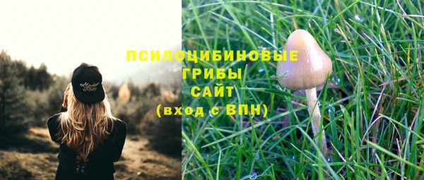 ECSTASY Верхний Тагил