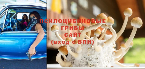 прущие крисы Володарск