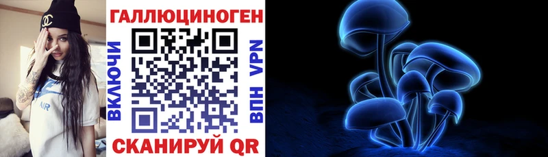 Купить закладки  Спас-Клепики  Псилоцибиновые грибы MAGIC MUSHROOMS 