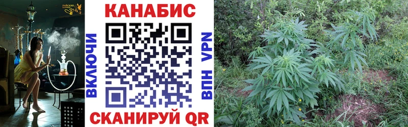 Купить где  Спас-Клепики  Бошки марихуана Bruce Banner 
